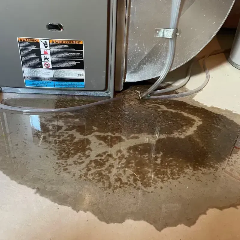 Appliance Leak Cleanup in Worcester, MA